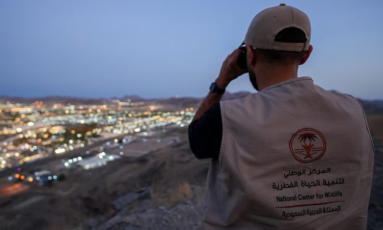 موسم حج هادئ بدون قرود في مكة والمشاعر المقدسة للعام الثالث