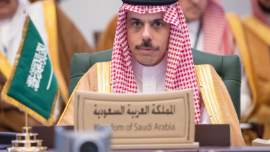 وزير الخارجية وغوتيريش يبحثان هاتفيا تفاصيل مؤتمر القضية الفلسطينية في اتصال مهم