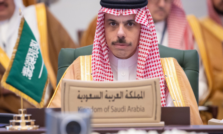 وزير الخارجية وغوتيريش يبحثان هاتفيا تفاصيل مؤتمر القضية الفلسطينية في اتصال مهم