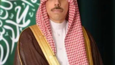 وزير الخارجية يبحث مع نائب رئيس الوزراء الايرلندي تطورات الأوضاع في المنطقة الحالية