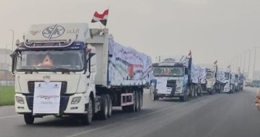 مصدر مصرى: دخول 161 شاحنة مساعدات إلى غزة بدءا من أمس وحتى فجر اليوم