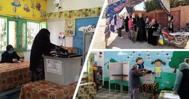 انتخابات مجلس الشيوخ - أرشيفية