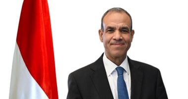 وزير الخارجية: أبناء مصر بالخارج ركيزة أساسية فى تعزيز مكانة مصر إقليميا ودوليا
