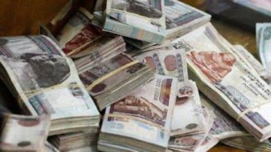 أسرة السائق تحصل على 120 ألف جنيه بعد وفاته بحادث مروري