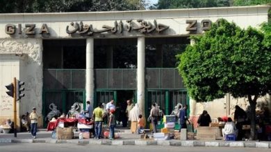 أسعار تذاكر حديقة الحيوان 2025 بعد التطوير تثير اهتمام الزوار