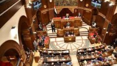 أسماء المترشحين لانتخابات مجلس الشيوخ بدائرة القاهرة وجنوب ووسط الدلتا تُنشر رسميًا
قائمة المترشحين في انتخابات مجلس الشيوخ بدائرة القاهرة وجنوب ووسط الدلتا تُعلن
الهيئة الوطنية للانتخابات تكشف عن المترشحين بنظام القوائم في مجلس الشيوخ بدائرة القاهرة وجنوب ووسط الدلتا