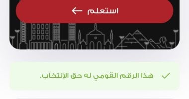 الهيئة الوطنية تطلق تطبيق استعلم عن لجنتك فى انتخابات مجلس الشيوخ.. صور