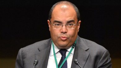 إمكانات واعدة لمصر في الطاقة المتجددة وفقًا لمحمود محيي الدين