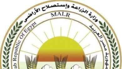 إنتاج ضخم لمخلفات الذبح الحيوانية يتجاوز 2574 طنًا