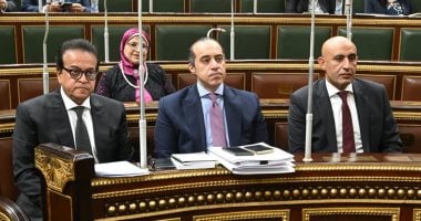 المستشار محمود فوزى وزير الشئون النيابية والقانونية والتواصل السياسى