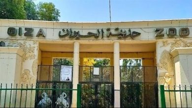 افتتاح حديقة الحيوان بالجيزة قريباً.. تعرف على سعر التذكرة المترقب