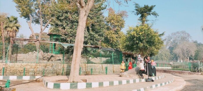 افتتاح حديقة الحيوان بعد التطوير.. بشرى سارة من «الزراعة» للزوار