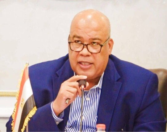 الأمن يقبض على خلية «حسم» والعشري يثني على يقظته
