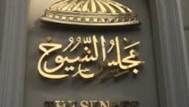الإئتلاف المصري لحقوق الإنسان يختتم دوراته التدريبية لمتابعة انتخابات الشيوخ