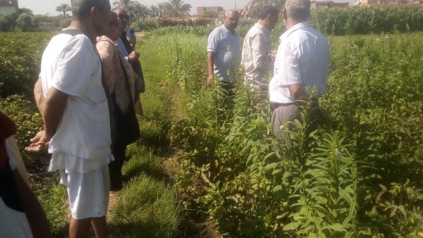 الإرشاد الزراعي ينظم 470 ندوة لدعم المزارعين بجميع المحافظات
الدعم الزراعي يشهد تنظيم 470 ندوة إرشادية وتدريبية
مزارعون يستفيدون من 470 ندوة إرشادية في جميع المحافظات
470 ندوة إرشادية لدعم الزراعية في مختلف المحافظات