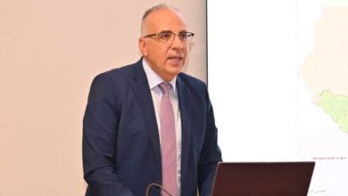 التزام مصر السياسي في مفاوضات السد الإثيوبي يؤكد وزير الري