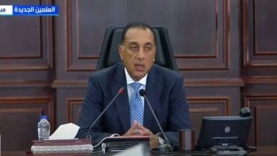 الرئيس السيسي يؤكد استدامة إمدادات الغاز لتأمين الصناعات المختلفة وفقًا لمدبولي
