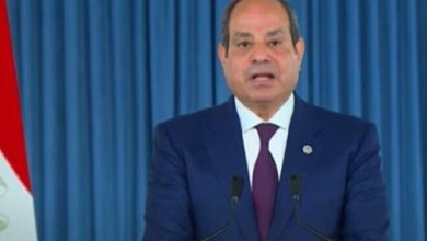الرئيس السيسي يؤكد: مصر متماسكة في مواجهة المؤامرات والفتن