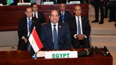 الرئيس السيسي يتحدث في القمة التنسيقية للاتحاد الإفريقي