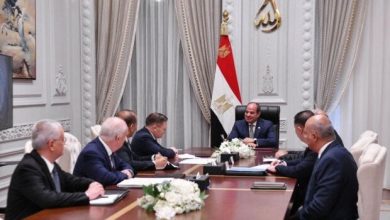 الرئيس السيسي يجري لقاءً مع المدير العام لهيئة الطاقة النووية الروسية