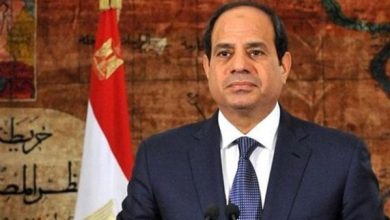 الرئيس السيسي يعقد لقاءً مع نظيره الغاني لتعزيز العلاقات الثنائية