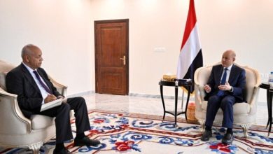 الرئيس العليمي يؤكد: مرحلة جديدة تستند إلى الفاعلية الذاتية والمسؤولية الوطنية