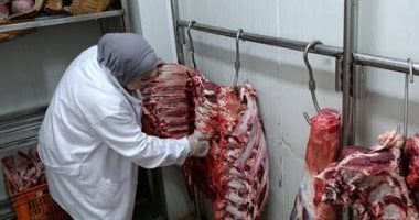 الزراعة تضبط 120 طن لحوم فاسدة