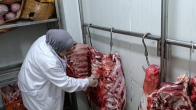 الزراعة تضبط 122 طنًا من اللحوم الفاسدة وتحرر 1500 محضر مخالفات