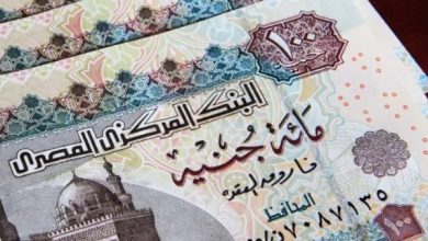العمالة غير المنتظمة تستحق معاشًا عند بلوغ 60 عامًا