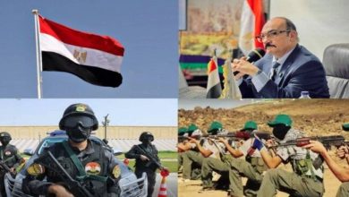 اللواء رضا فرحات يؤكد: إلقاء القبض على «حسم» ينفي أطماع «الإخوان الإرهابية» في إحياء أذرعها المسلحة