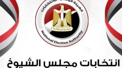 المجلس القومي لحقوق الإنسان يستبعد الحزبيين من متابعة الانتخابات البرلمانية
