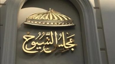 النتائج تخرج اليوم.. الوطنية للانتخابات تكشف القائمة النهائية لمرشحي الشيوخ والدعاية تبدأ