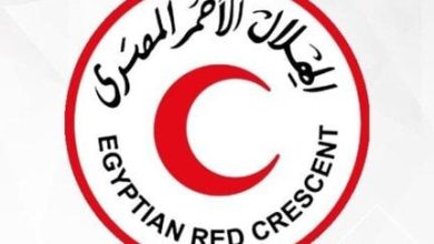 الهلال الأحمر المصري يستمر في دعم قطاع غزة