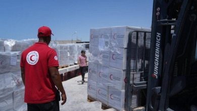 «الهيئة الإنسانية تسعى لدعم غزة».. الهلال الأحمر ينقل مساعدات إضافية من مصر (فيديو)