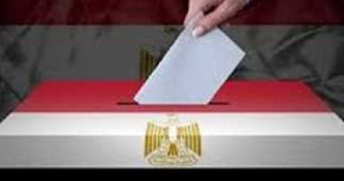 دليل الناخب.. كل ما تحتاج معرفته عن إجراءات التصويت فى الانتخابات
