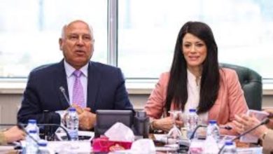 بحث التعاون الصناعي: وزيران يعملان على تعزيز "الصناعة الخضراء" وجذب التمويلات المستدامة
تطوير الصناعة الخضراء: اجتماع وزيري الصناعة والتخطيط حول آليات التكيف مع "CBAM"
آليات جديدة لتعزيز الصناعة: وزيرة التخطيط تلتقي وزير الصناعة لبحث التمويلات الخضراء