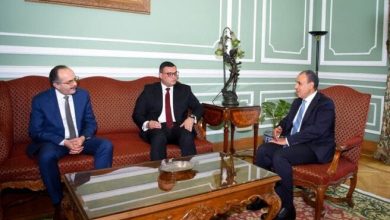 بحث وزيران دعم مشروعات التنمية الإفريقية