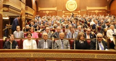 سفارة مصر بنيوزيلندا تفتح بعد قليل باب التصويت فى انتخابات مجلس الشيوخ