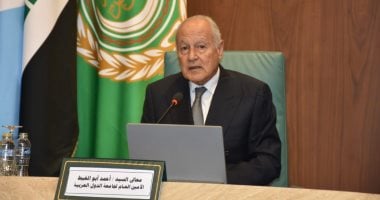 أبو الغيط يوجه بتشكيل بعثة لمتابعة انتخابات مجلس الشيوخ