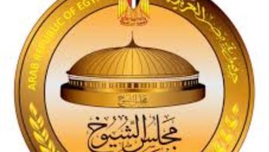 تأهيل متابعي الانتخابات في ورشة للائتلاف المصري بسوهاج