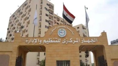 ترقيات موظفي الحكومة 2025 متاحة الآن.. استعلم من التنظيم والإدارة