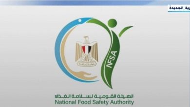 تصدير 200 ألف طن: البطاطس والفراولة تتصدران صادرات الأغذية