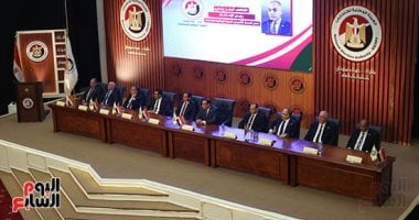 شروط إجراء تصويت المصريين المقيمين بالخارج في انتخابات مجلس الشيوخ