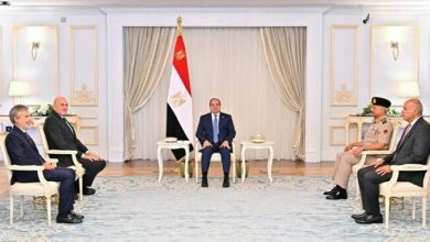 تعزيز التعاون العسكري بين السيسي ووزير الدفاع الإيطالي
