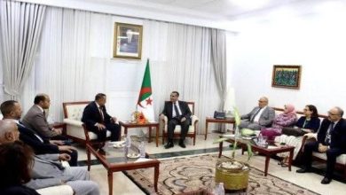 تعزيز التعاون المصري الجزائري في الخدمات العامة