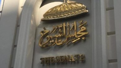 تعيين عضو مجلس الشيوخ في وظائف حكومية.. توضيحات قانونية مهمة