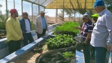 تفقد رئيس بحوث الصحراء محطة شمال سيناء بالشيخ زويد