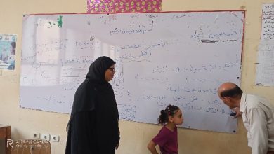 تنفيذ برنامج علاجي لتلاميذ الابتدائي الضعاف يبدأ اليوم حتى 31 أغسطس | صور