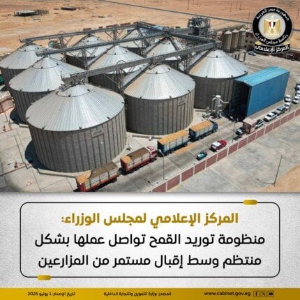 توريد القمح مستمر بانتظام وسط إقبال المزارعين