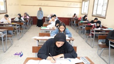 توزيع أوراق إجابة الكيمياء والجغرافيا في لجان الثانوية العامة 2025
تشهد لجان امتحانات الثانوية العامة 2025 حالياً توزيع أوراق إجابة امتحان الكيمياء للشعبة العلمية والجغرافيا للشعبة الأدبية، وفقاً لتعليمات وزارة التربية والتعليم